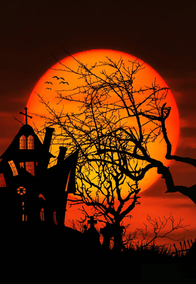 Spoookly Halloween