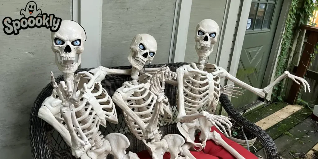 Poseable Skeletons