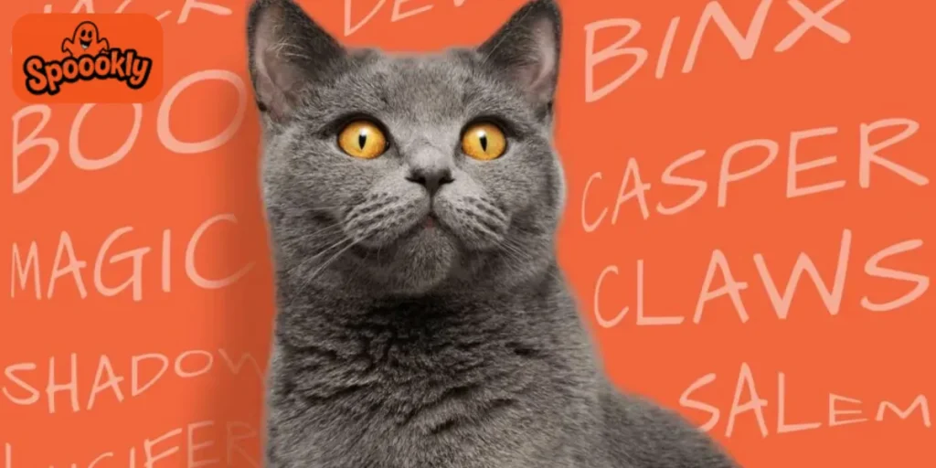 Ghostly & Paranormal Halloween Cat Names