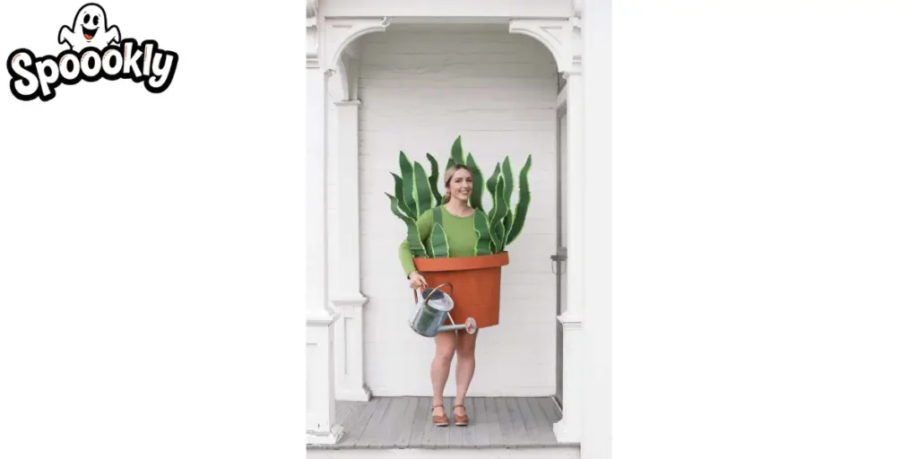 Office Plant
