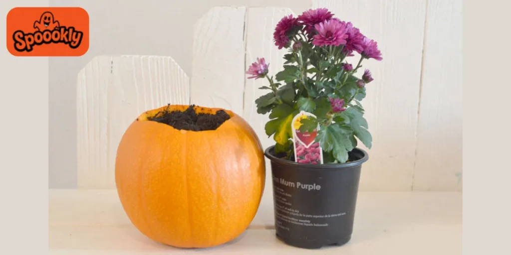 Pumpkin Planter with Fall Blooms