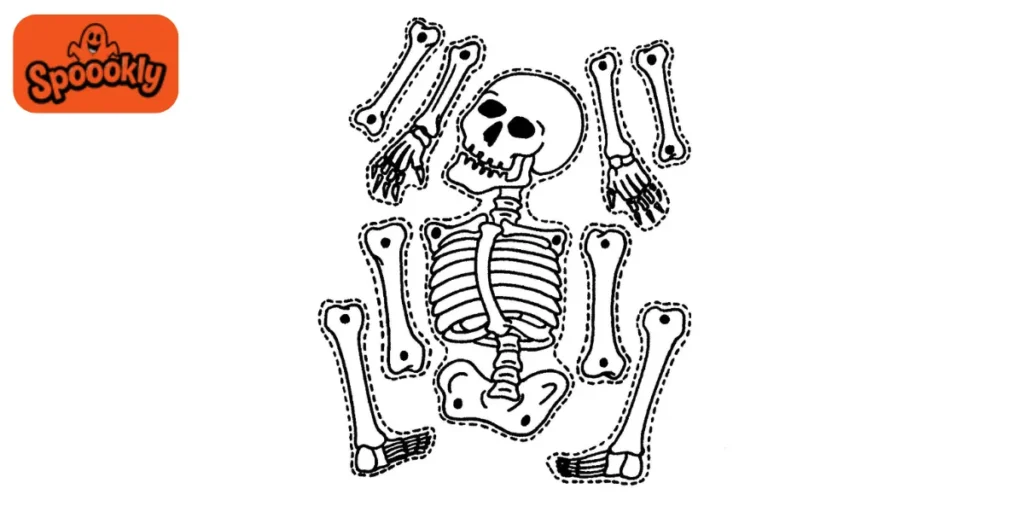 Skeleton Puzzle Race