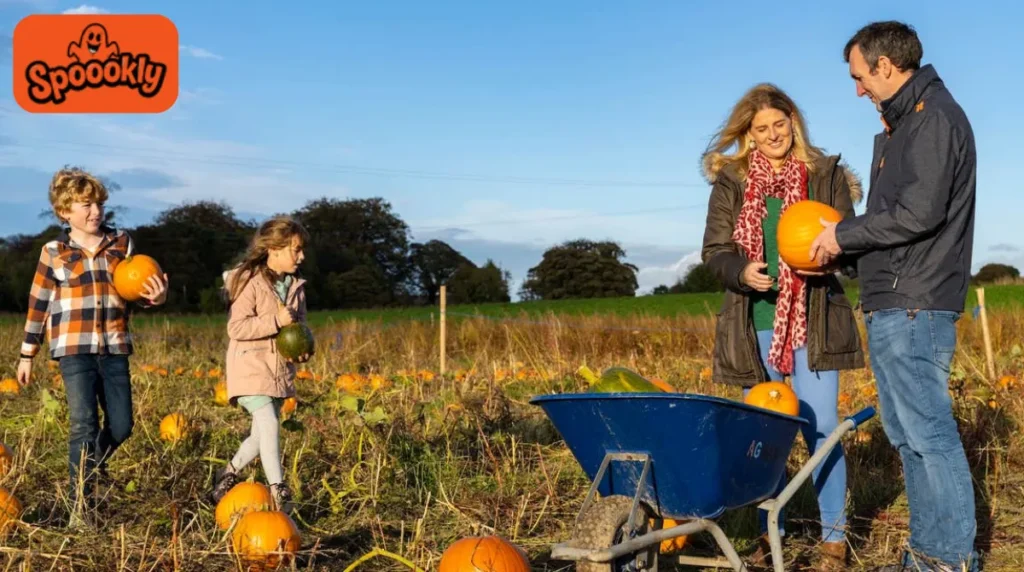 Halloween Boo Event at Leahy’s Open Farm