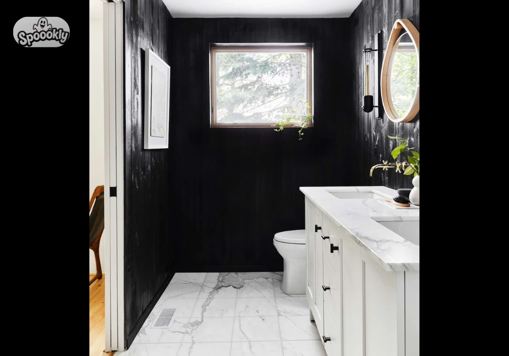 Black Accent Bathroom Wall Color Ideas