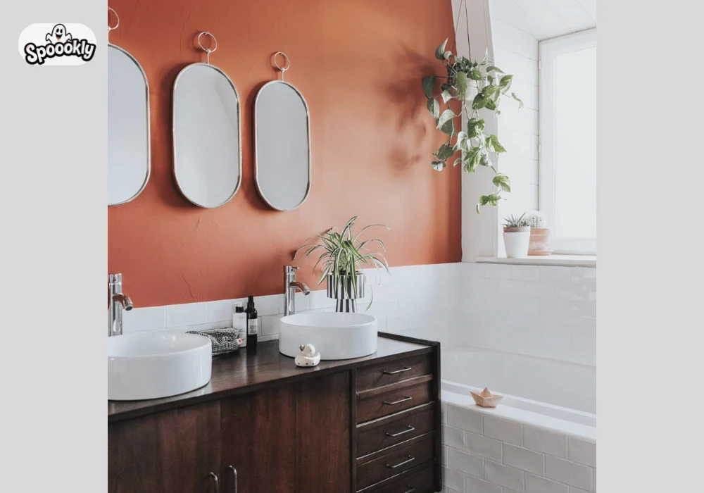Terracotta Bathroom Wall Color Ideas